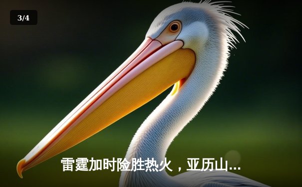 雷霆加时险胜热火，亚历山大42分创赛季新高 - 3